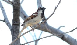 18th June 2015 001.JPG