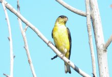 18th June 2015 022.JPG