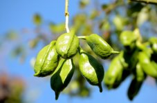 18th June 2015 005.JPG