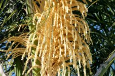 18th June 2015 023.JPG