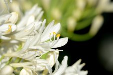 18th June 2015 027.JPG