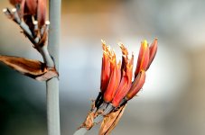 18th June 2015 028.JPG