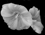 DSC_5520-Edit-Edit-Edit.jpg
