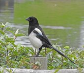 DSCN0715.jpg
