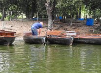 DSCN0727.jpg