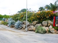 untitled-87.jpg
