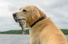 untitled-4291.jpg