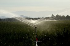 20th June 2015 019.JPG