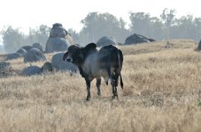 20th June 2015 021.JPG