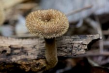 DSC_0314.jpg