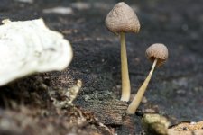 DSC_0317.jpg