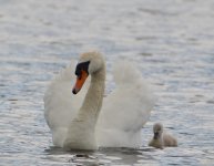 DSC_0144.jpg