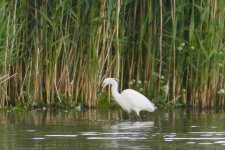 DSC_0261.jpg