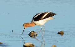 21st June 2015 003.JPG