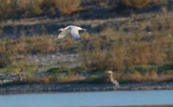 21st June 2015 017.JPG