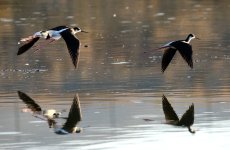 21st June 2015 024.JPG