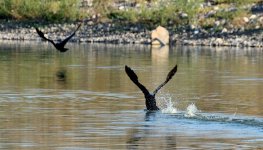 21st June 2015 049.JPG