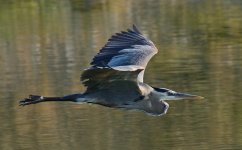 21st June 2015 061.JPG