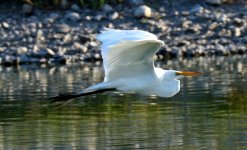 21st June 2015 068.JPG