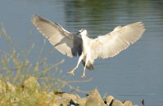 21st June 2015 096.JPG