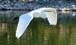 21st June 2015 104.JPG