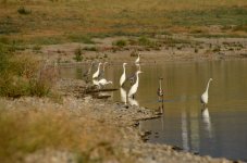 21st June 2015 120.JPG