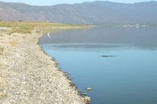 21st June 2015 124.JPG