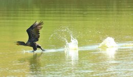 21st June 2015 191.JPG