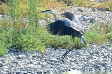 21st June 2015 211.JPG