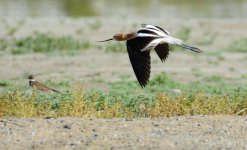 21st June 2015 240.JPG