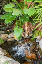 19 June 2015 - Fake Waterfall.jpg