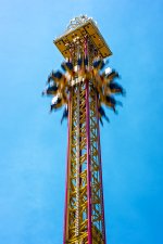20 June 2015 #3 - Taking the Plunge.jpg