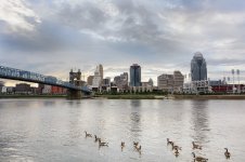 Cincinnati Skyline--8.jpg