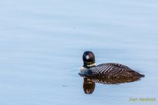 DSC_0805.jpg