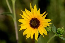 22nd June 2015 055.JPG