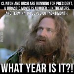 bush.jpg