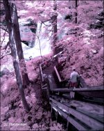 6-22-15 Brandywine IR  15.jpg