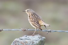 DSC_2622.jpg