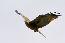 DSC_0485.jpg