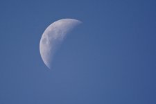 DSC_0325.jpg