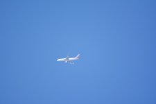 DSC_0352.jpg
