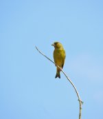 DSCN0850.jpg