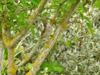 DSCN0815.jpg