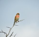 DSCN0843.jpg