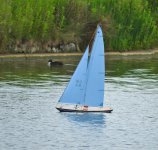 DSCN0810.jpg