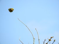 DSCN0851.jpg