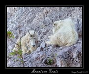 DSC_0291_Web.jpg