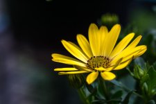 DSC_3386.jpg
