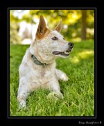 _DSC_1689_Web_.jpg