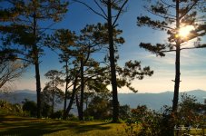 landscape-1.jpg